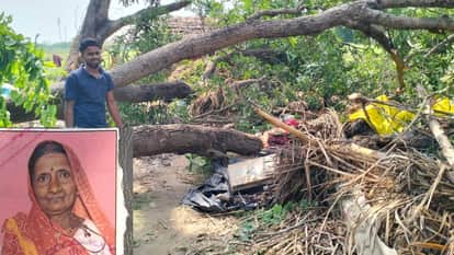 tree fell onto thatched roof during storm In Gonda woman died