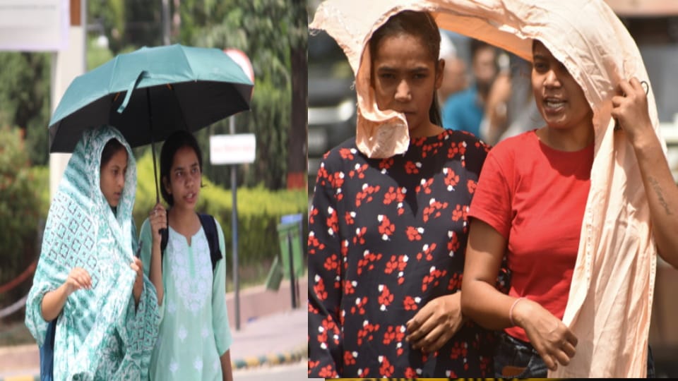 West UP Weather: Scorching Sun and Hot Winds Grip West UP, People Await Monsoon Rains