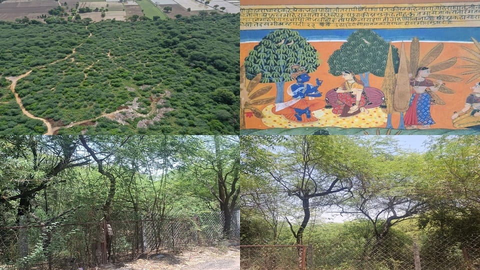 Ancient Braj Forests to Be Revived Under Massive Green Restoration Project