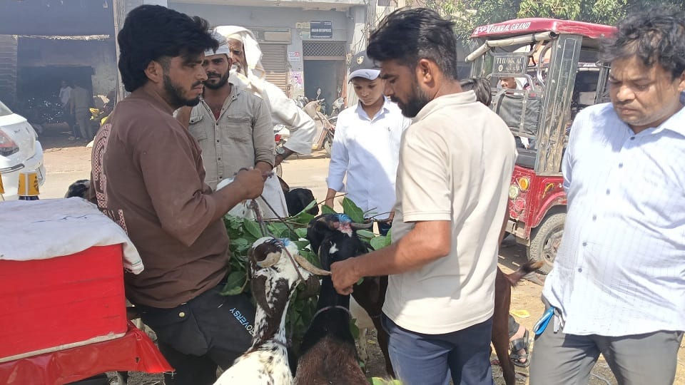 Eid-ul-Zuha: Namaz will be offered in Meerut from 5:55 am, know what will be the timings in these mosques
