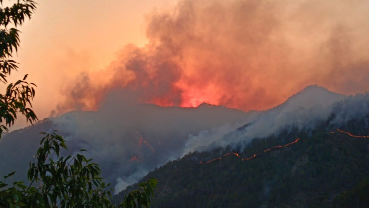 Forest guard dies after falling from a cliff while extinguishing a fire Uttarkashi Uttarakhand news