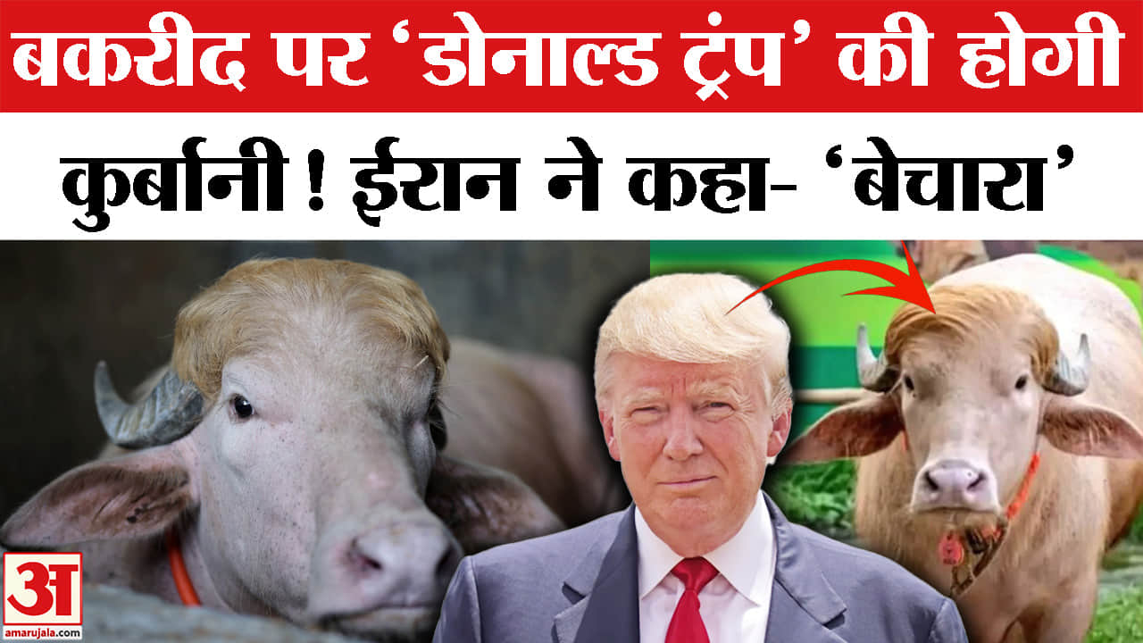 ट्रंप