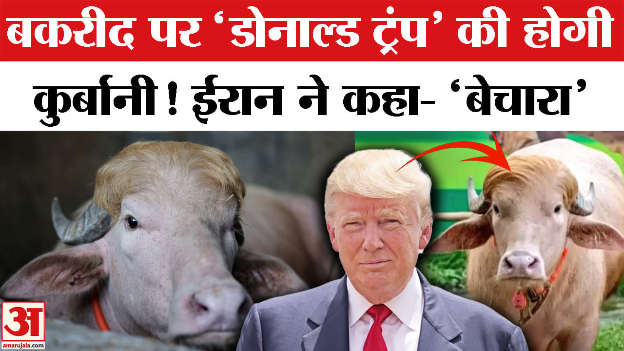 ट्रंप