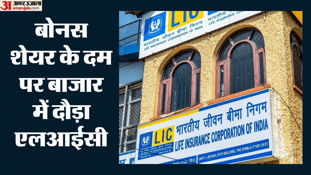 LIC Shines on Back of Bonus Shares Rallies 7 pc in Five Sessions Company Declares Dividend of This Amount