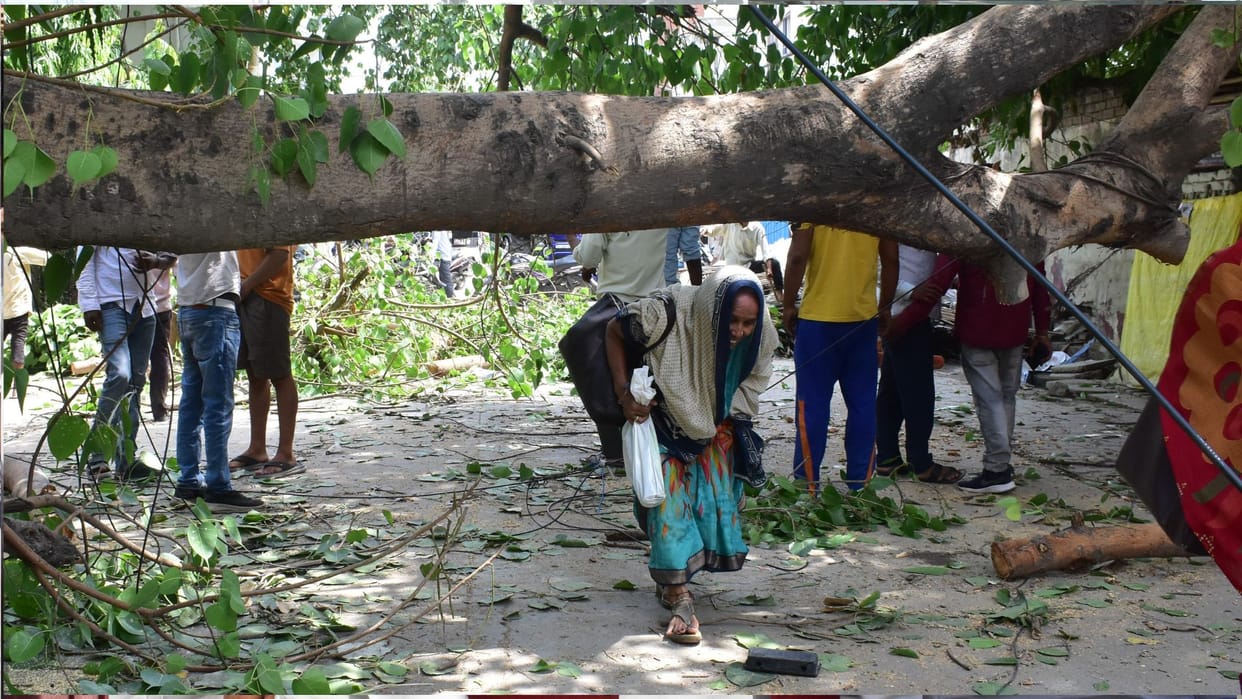 A severe storm on Monday night uprooted trees in Gorakhpur, disrupting supply.