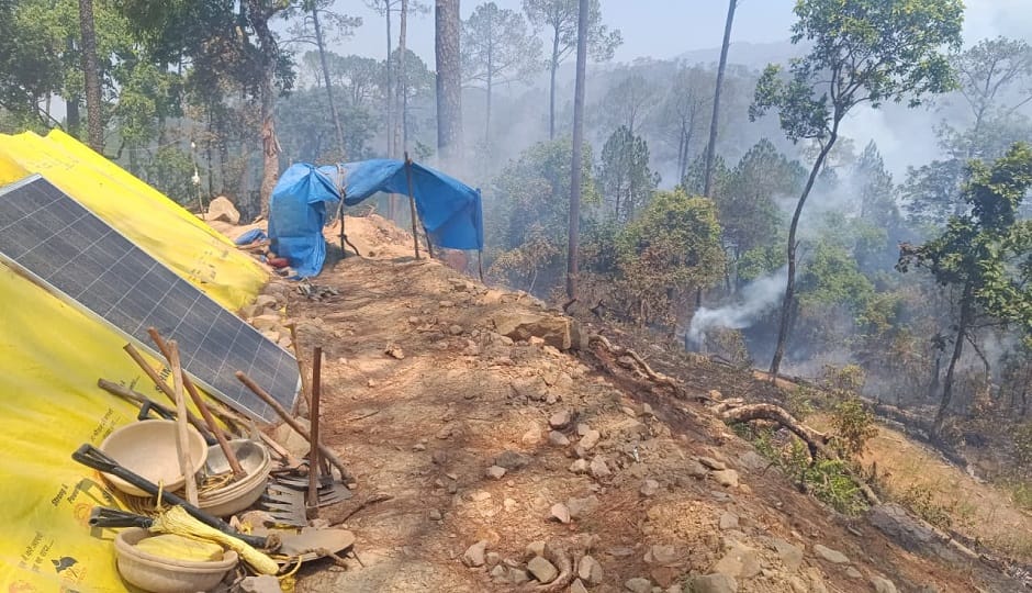 forest fire broke out in the Manora Range near Nainital, destroying the forest department's plantation