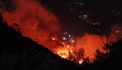 fire in Manora forest has been raging for 70 hours, causing huge damage to the forest wealth