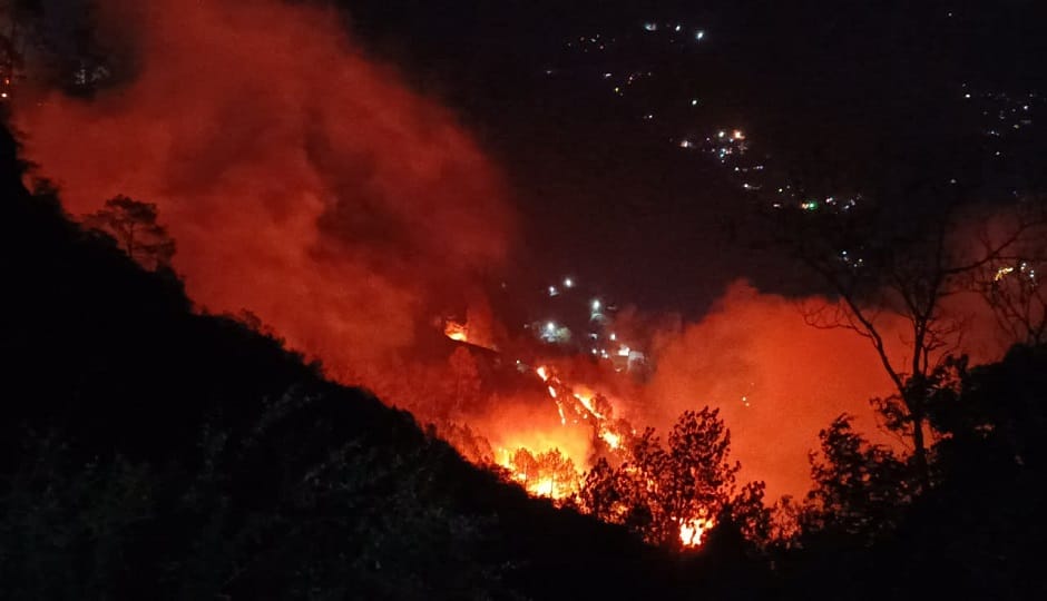 fire in Manora forest has been raging for 70 hours, causing huge damage to the forest wealth