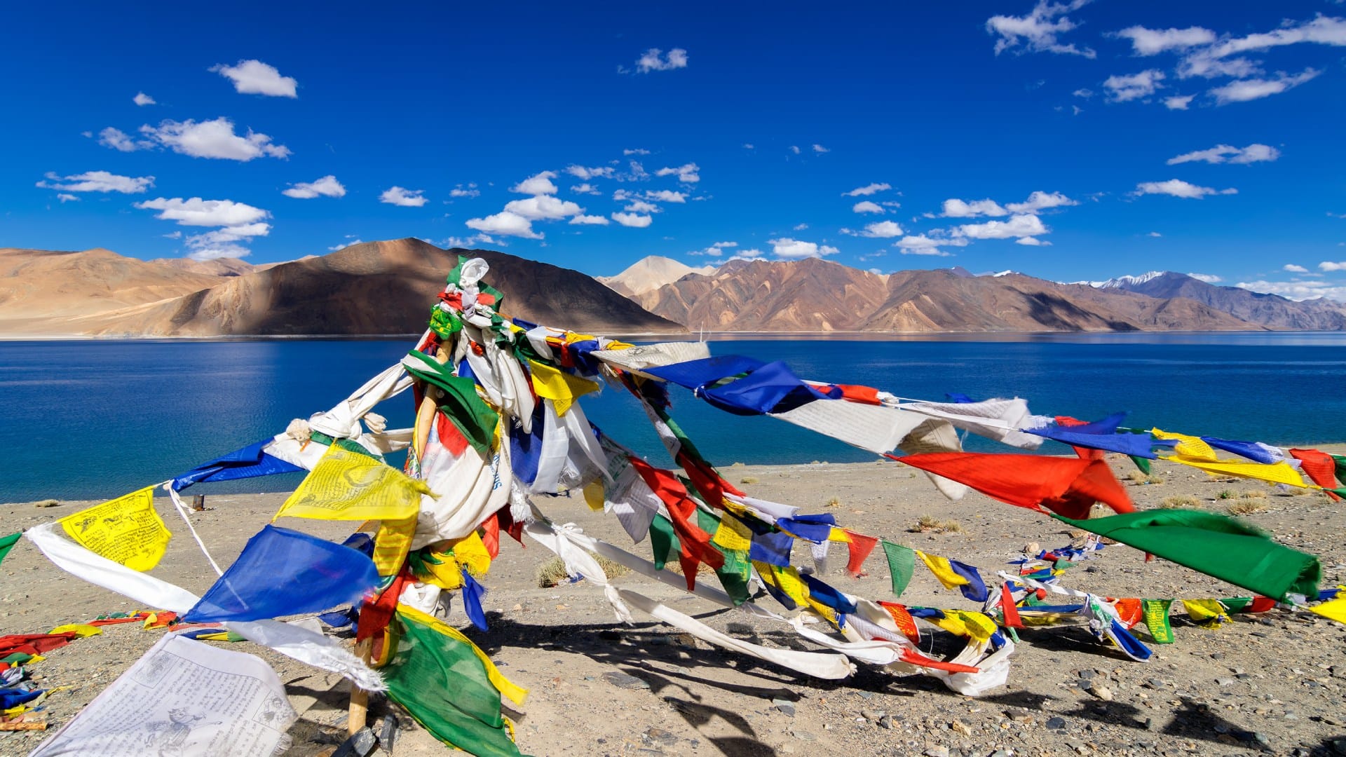 ladakh magical lake changes colour five times a day like chameleon Pangong Tso Ladakh