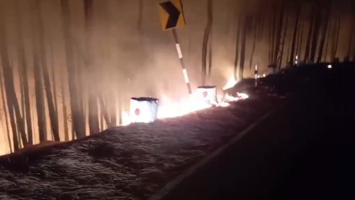 Forest fire near Farsula village in Lansdowne brought under control after 12 hours Uttarakhand News