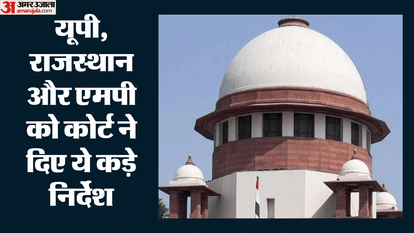 Supreme Court Says Environment Cannot Saved Through Fear of Courts Strict Stance on Illegal Mining in Chambal