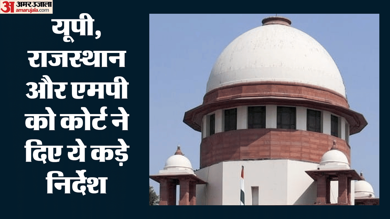 Supreme Court Says Environment Cannot Saved Through Fear of Courts Strict Stance on Illegal Mining in Chambal