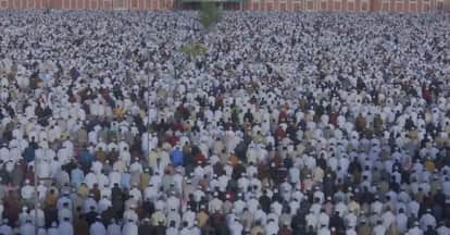 Prayers for Peace Resound in Mosques and Eidgahs: Bakrid Celebrated with Brotherhood in Bhopal; Appeal for Res