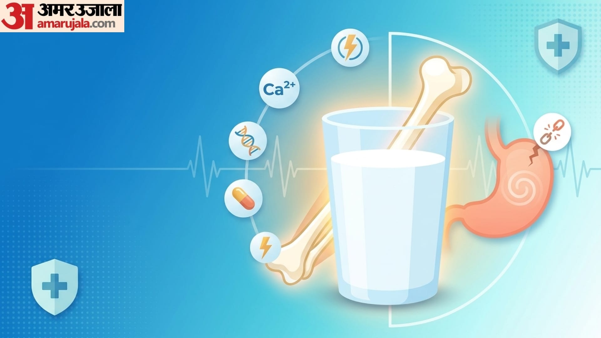 World Digestive Health Day 5 myths and facts about digestive system