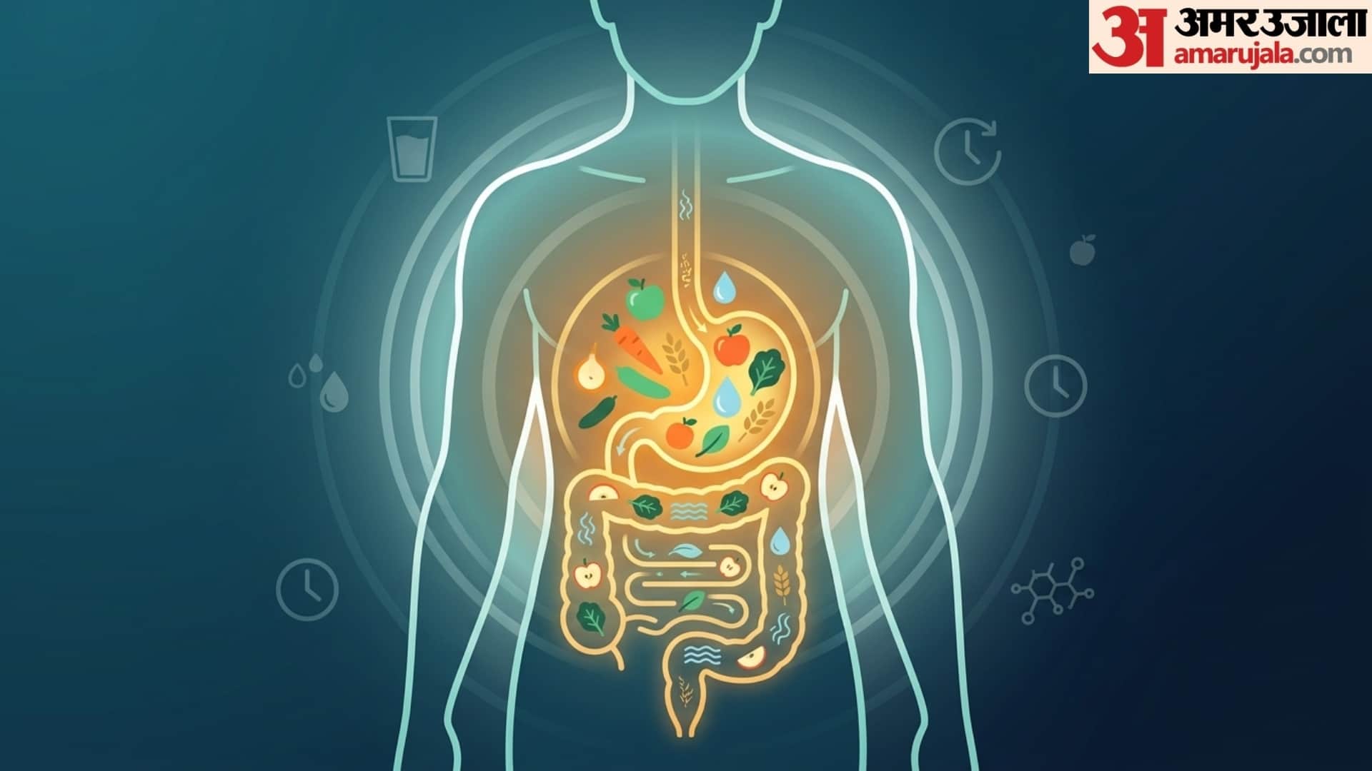 World Digestive Health Day 5 myths and facts about digestive system