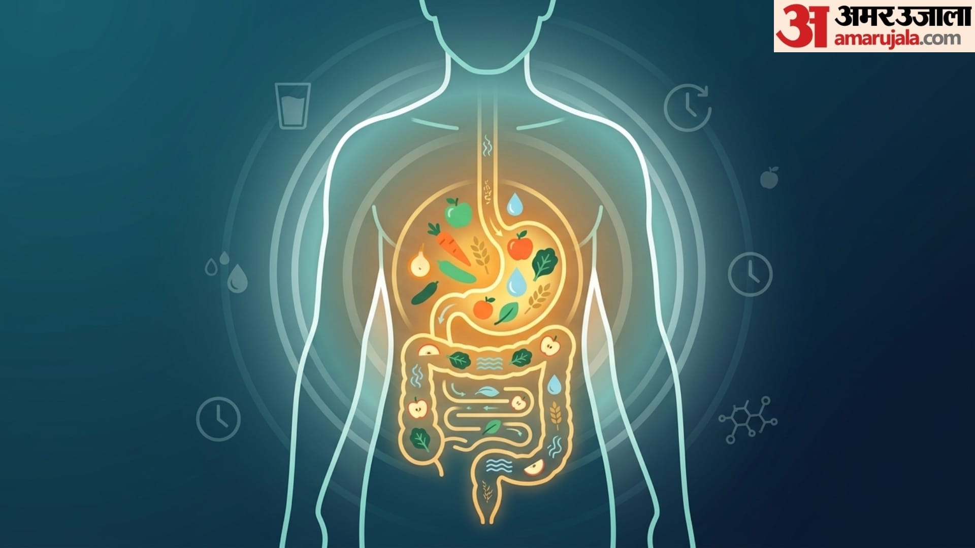 World Digestive Health Day 5 myths and facts about digestive system