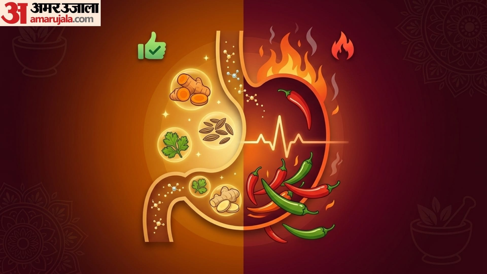 World Digestive Health Day 5 myths and facts about digestive system