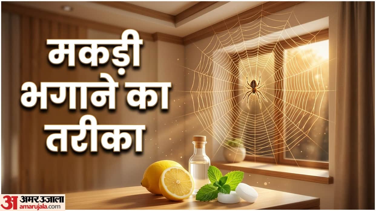 Spider Web Remover Home Remedies Ghar Se Makdi Bhagane Ke Upay