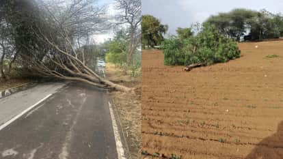 Weather Takes Turn in Haryana Storms and Hailstorm Wreak Havoc in Chopta; Rain Brings Relief from Heat