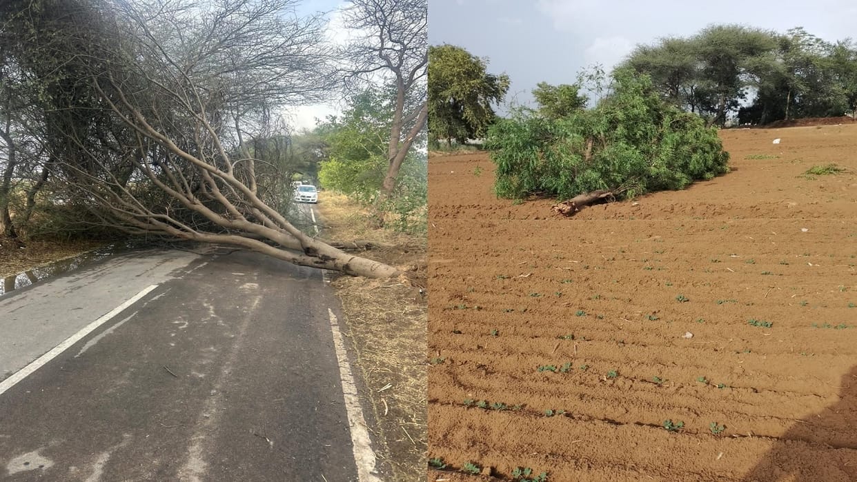 Weather Takes Turn in Haryana Storms and Hailstorm Wreak Havoc in Chopta; Rain Brings Relief from Heat