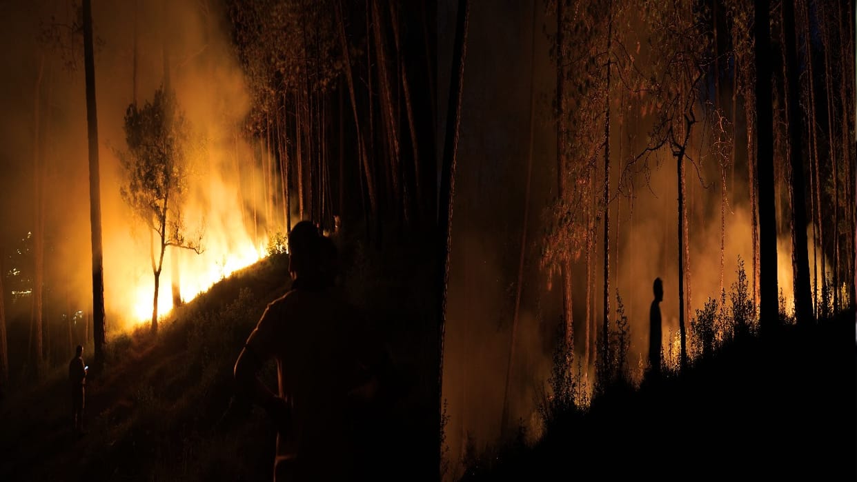 HP Forest Fire:  Forests from Shimla to Chamba are raging with fire; incidents have doubled compared to last y