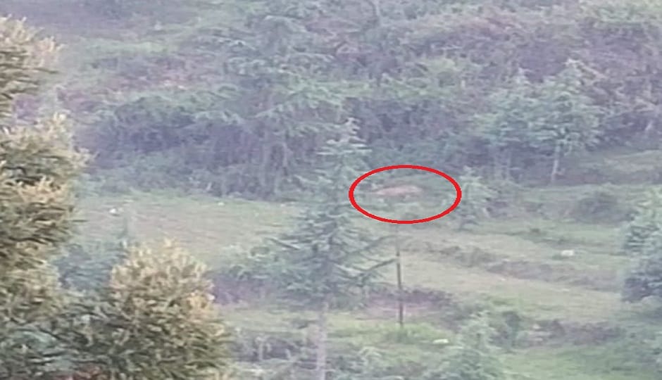 Leopard terror in Kanalichhina makes it difficult for girl students to go to school