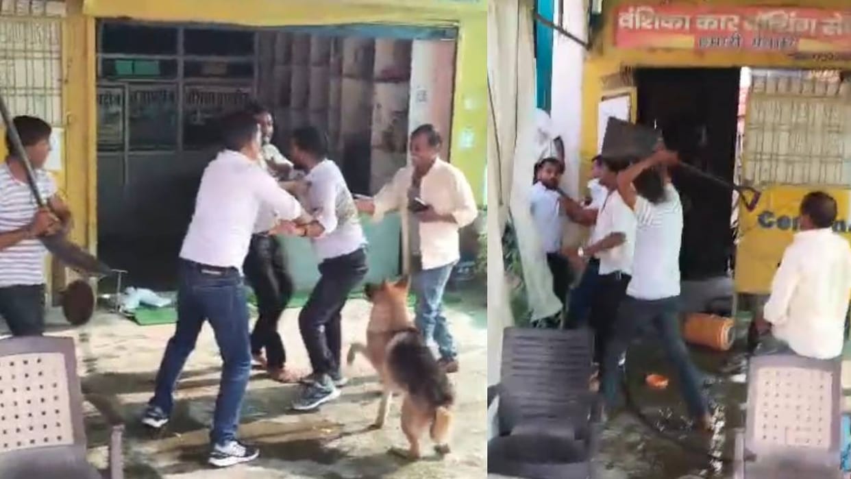 JE who went to stop electricity theft was bitten by a dog and also attacked with a stick.