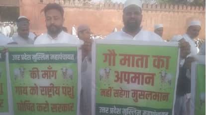 Muslim Mahapanchayat Demands Declaration of Cow as National Animal Outside Eidgah in Agra On Bakrid