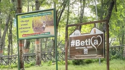 Notice issued regarding illegal construction 59 hotels Netarhat and Palamu Tiger Reserve