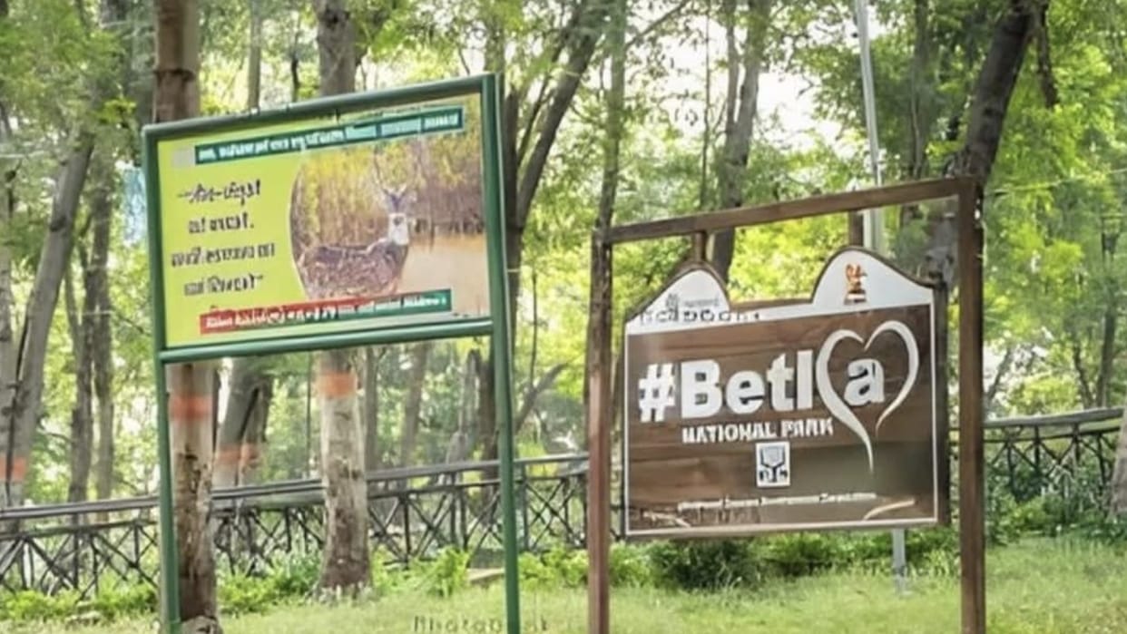 Notice issued regarding illegal construction 59 hotels Netarhat and Palamu Tiger Reserve