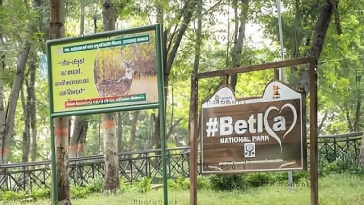 NGT: नेतरहाट और पलामू टाइगर रिजर्व में 59 होटलों के अवैध निर्माण पर एनजीटी का नोटिस, 8 जुलाई को अगली सुनवाई