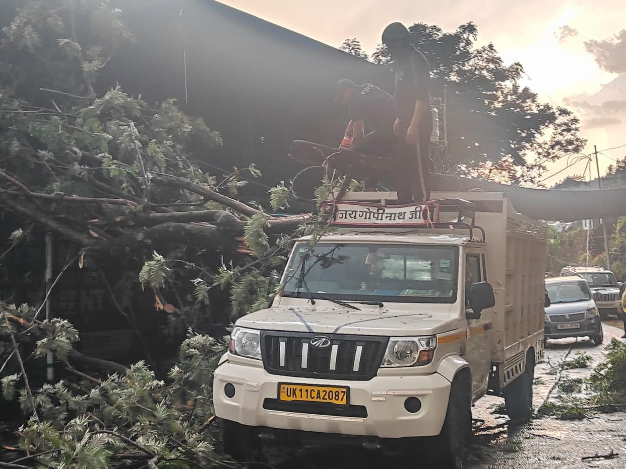 Chamoli News Tree Falls on Pickup Truck Loaded with Gas Cylinders During Storm Driver Escaped with Their Lives