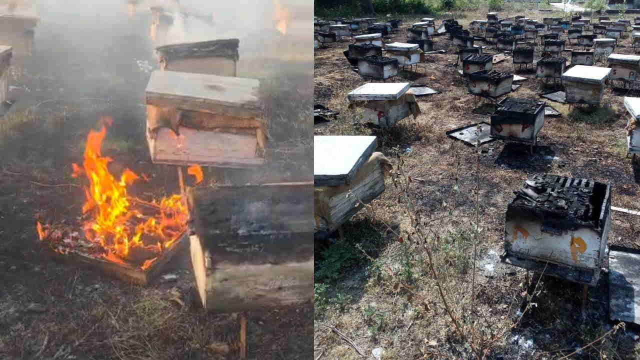 मधुमक्खी प्लांट में लगी आग