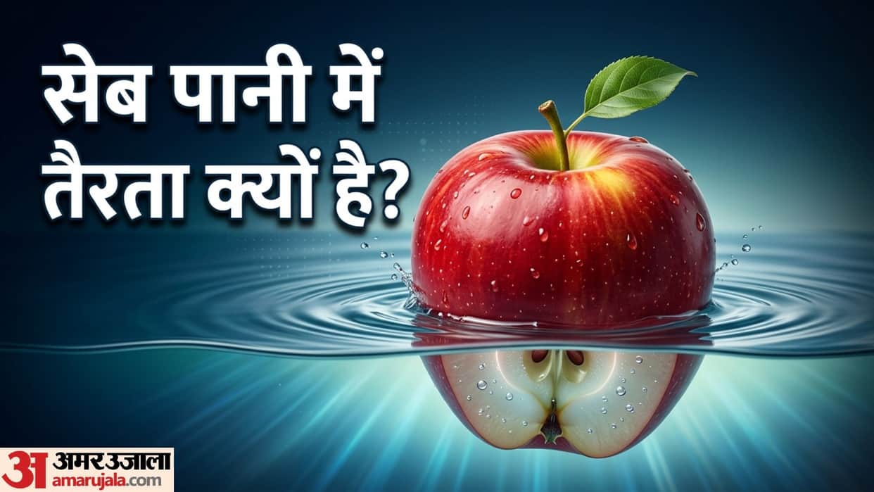 why apple does not sink in water know the reason behind this