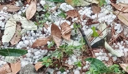 Weather changes in the Bichla Danpur area, rain and hailstorm damage crops
