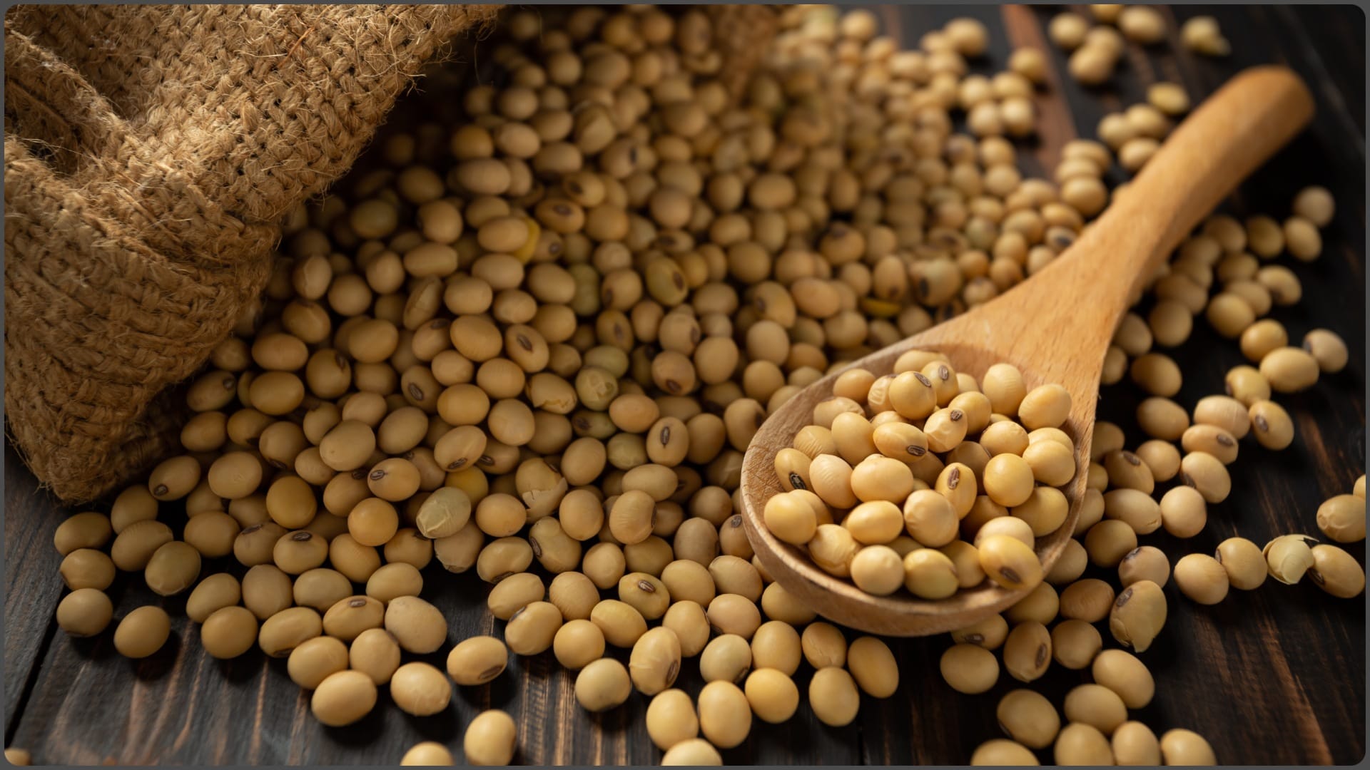what are 5 protein rich foods vegetarian in hindi