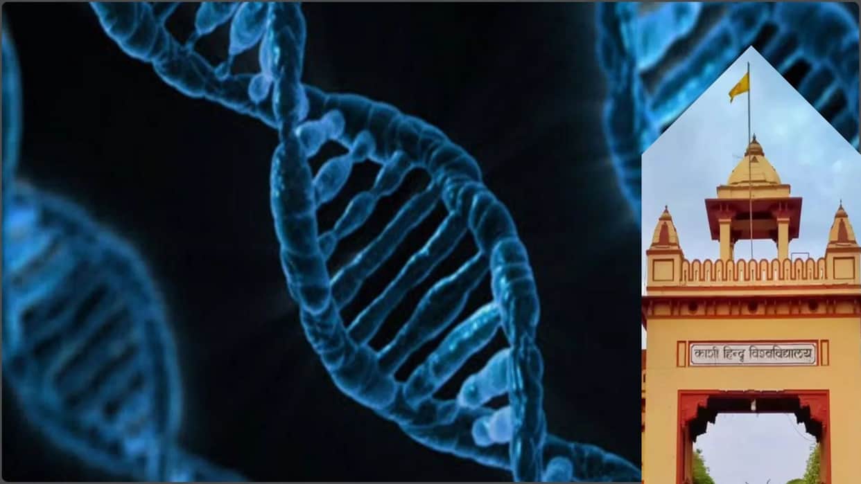 BHU DNA Test Humans Who Migrated from Africa 57000 Years Ago Reached Sri Lanka Ram Setu Existed