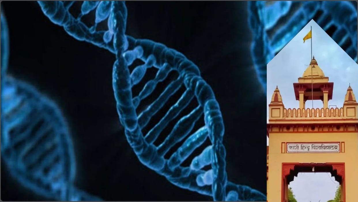 BHU DNA Test Humans Who Migrated from Africa 57000 Years Ago Reached Sri Lanka Ram Setu Existed