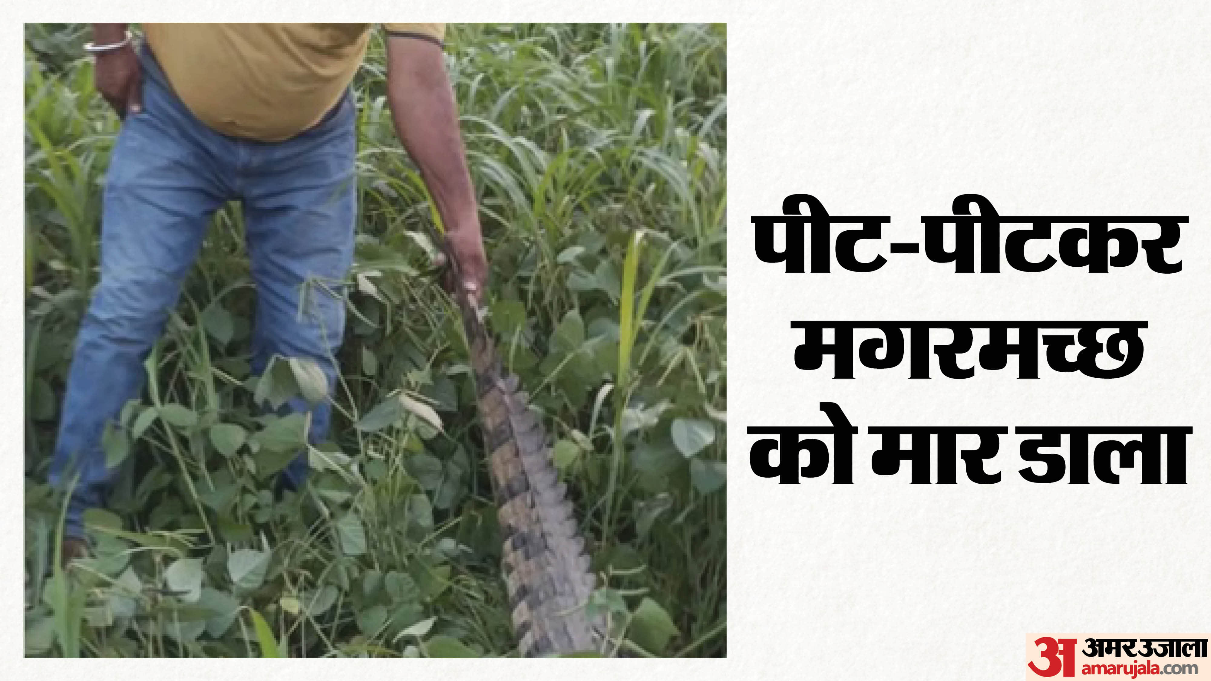 भीड़ बनी जल्लाद