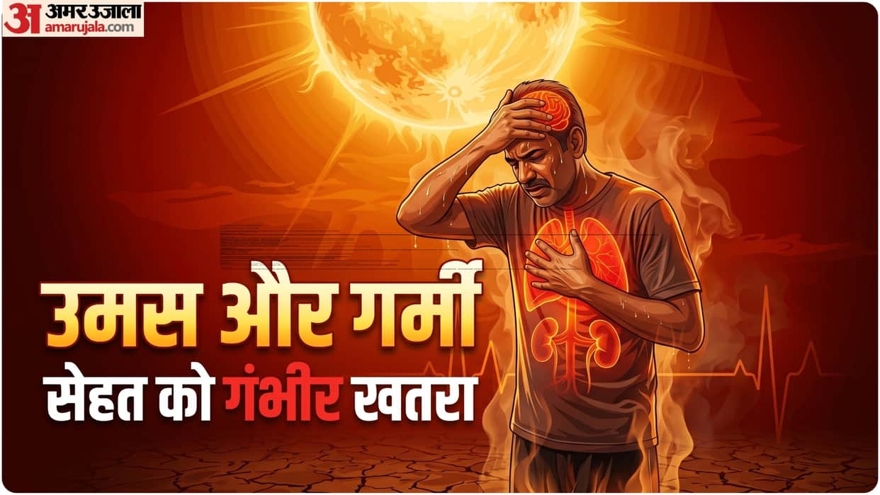 nautapa extreme heat and heatwave health risk how body internal heat affecting health know precaution tips