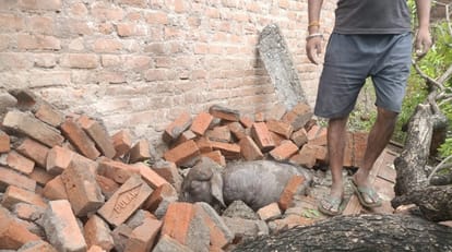 Orai Storm and Rain Wreak Havoc Electric Poles Uprooted Traffic Halted for 10 Hours Two Dead Five Injured