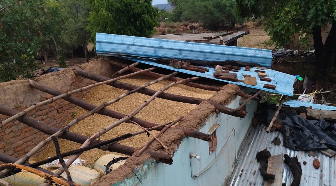 Chitrakoot Late night storm and heavy rains wreak havoc numerous trees uprooted thatched roofs blown away