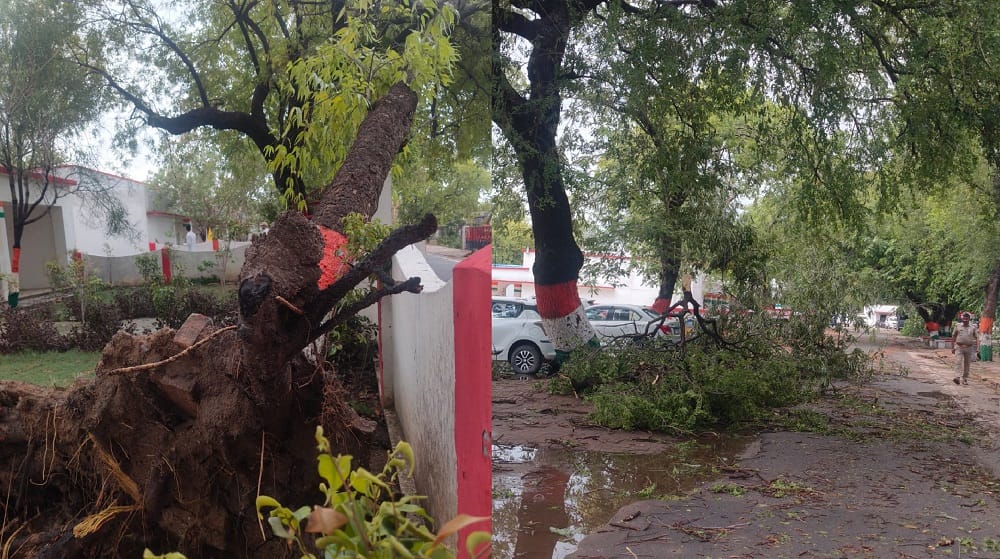 Orai Storm and Rain Wreak Havoc Hundreds of Trees Down on Roads Power Infrastructure Collapses