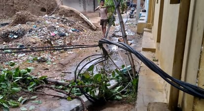 Chitrakoot Late night storm and heavy rains wreak havoc numerous trees uprooted thatched roofs blown away