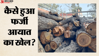 कैसे हुआ फर्जी आयात का खेल?