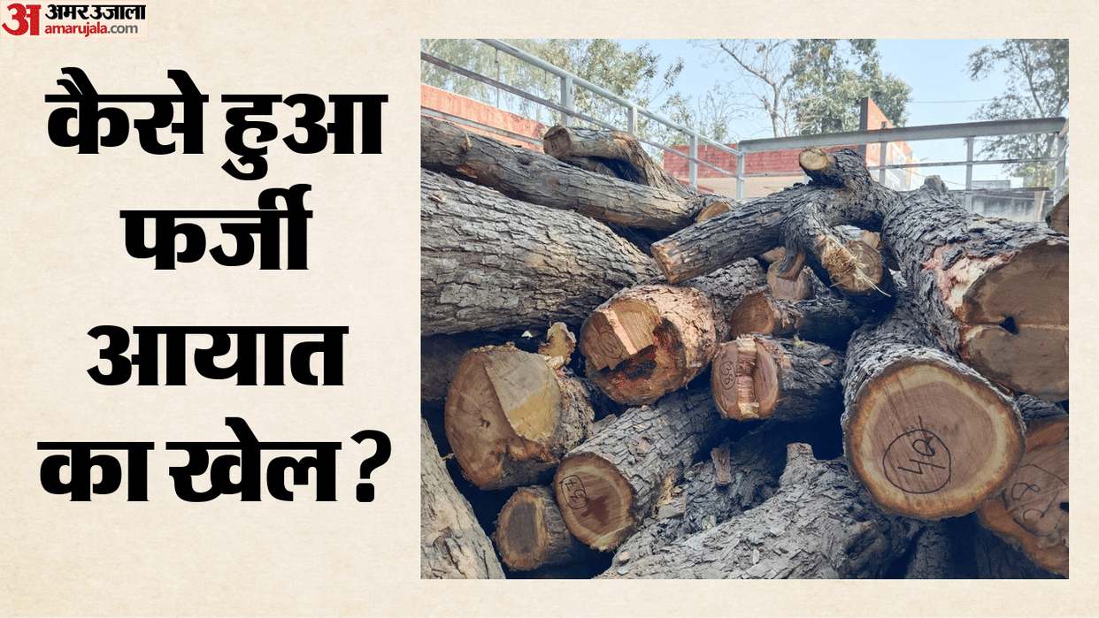 Fraudulent Import of Timber from Singapore to india Forged Bills of Entry Lading  Banks Suffer Loss ₹155 Crore