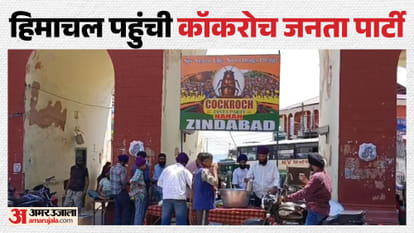 Himachal Chhabeel set up in Nahan under the banner of the Cockroach Janata Party