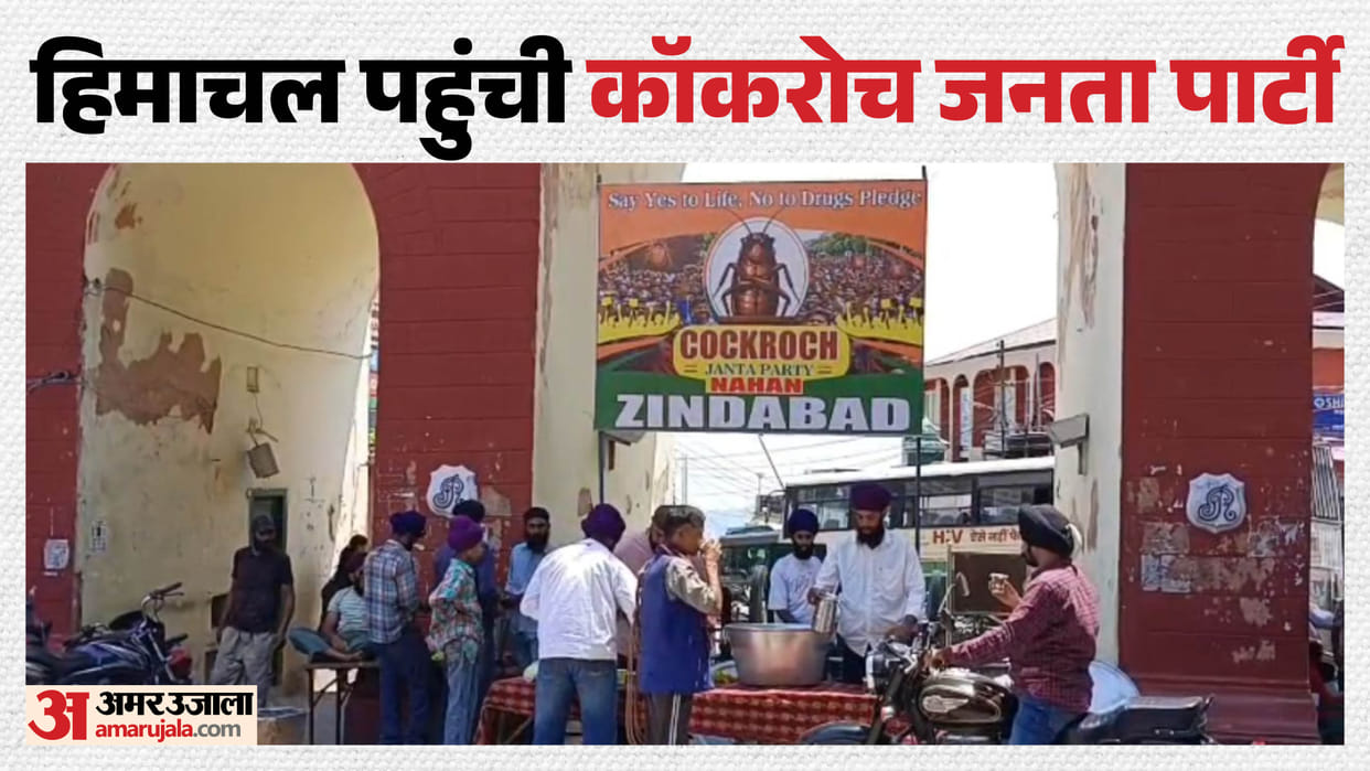 Himachal Chhabeel set up in Nahan under the banner of the Cockroach Janata Party