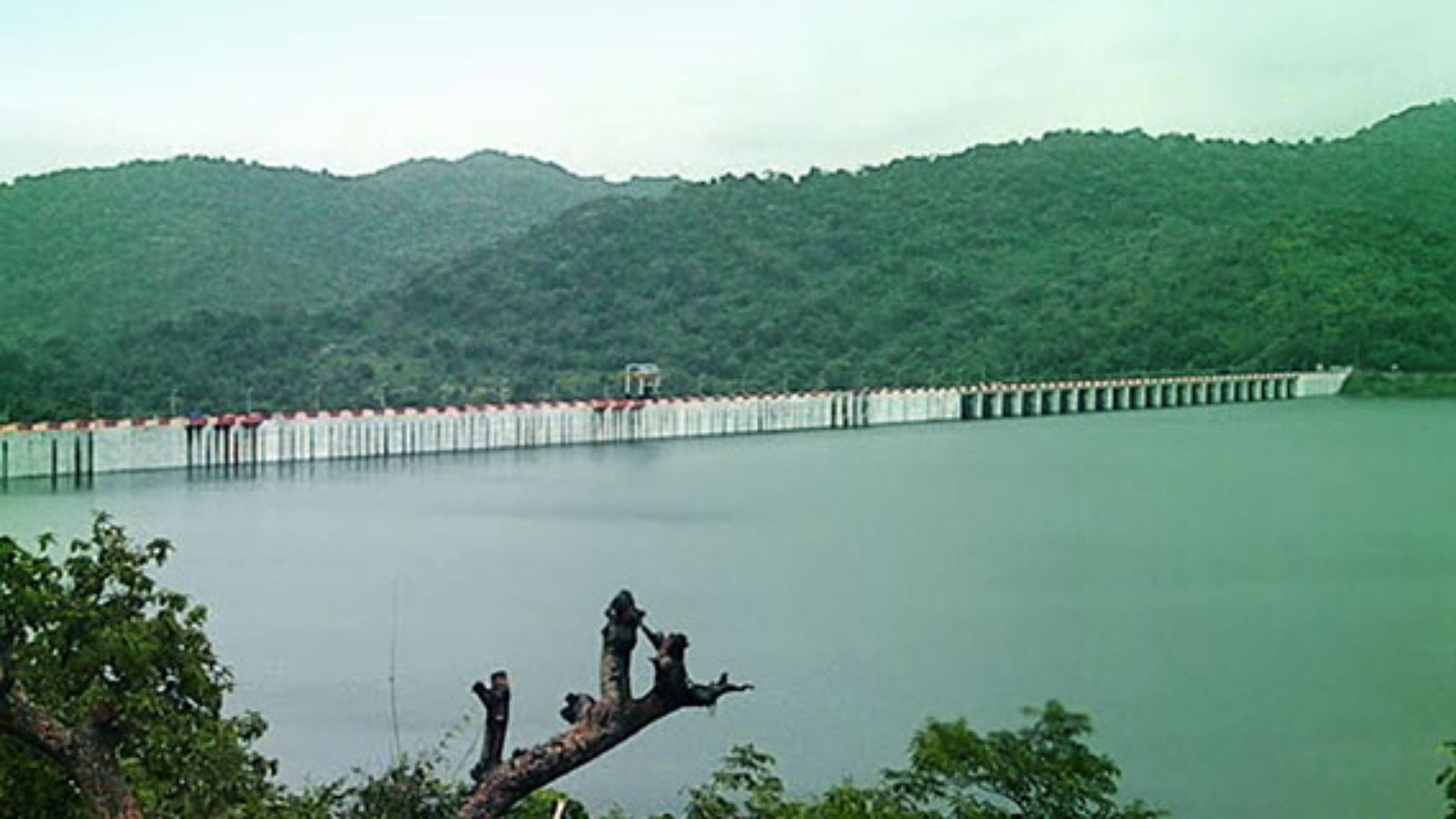 प्रतिकात्मक तस्वीर