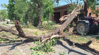 Unseasonal Flash Flood Wreaks Havoc in Shakambhari, Vehicles Swept Away, Woman Dies